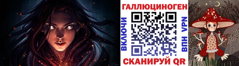 Галлюциногенные грибы Psilocybine cubensis  Александров 